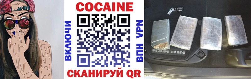 КОКАИН Fish Scale  Купить где  Камень-на-Оби 