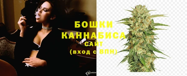 соль ск Зеленодольск