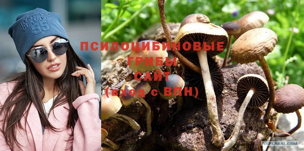 соль ск Зеленодольск