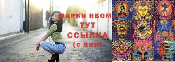 соль ск Зеленодольск
