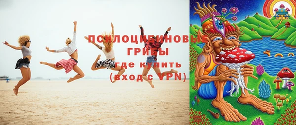соль ск Зеленодольск